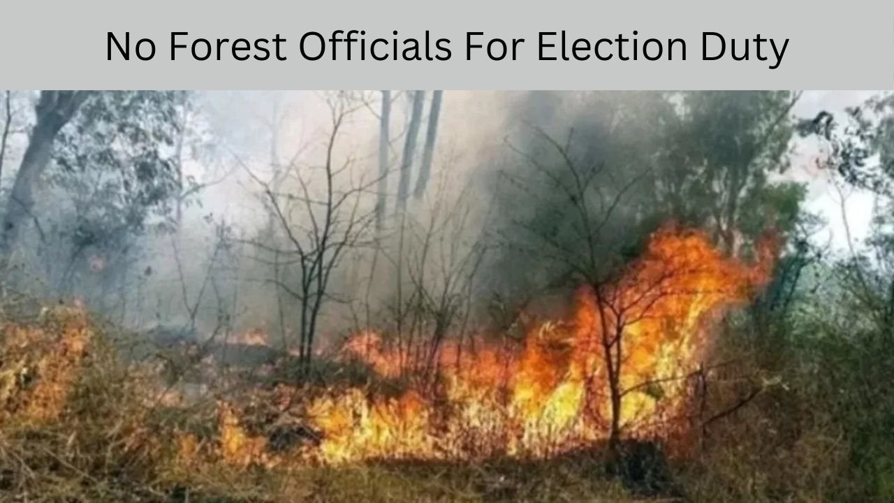 No Forest Officials For Election Duty