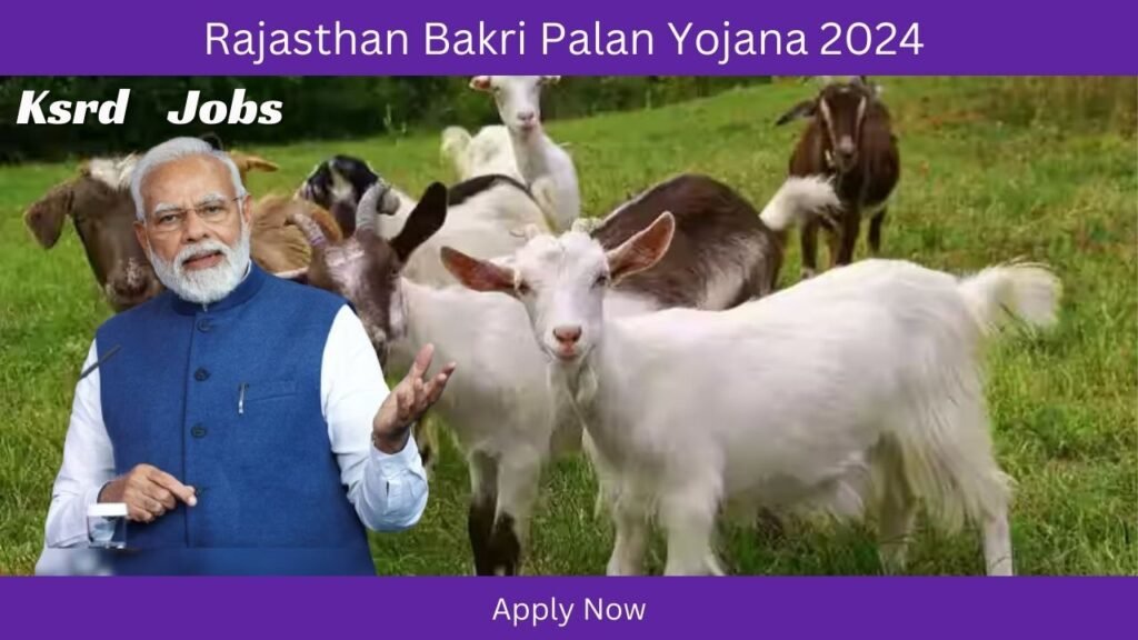Rajasthan Bakri Palan Yojana 2024