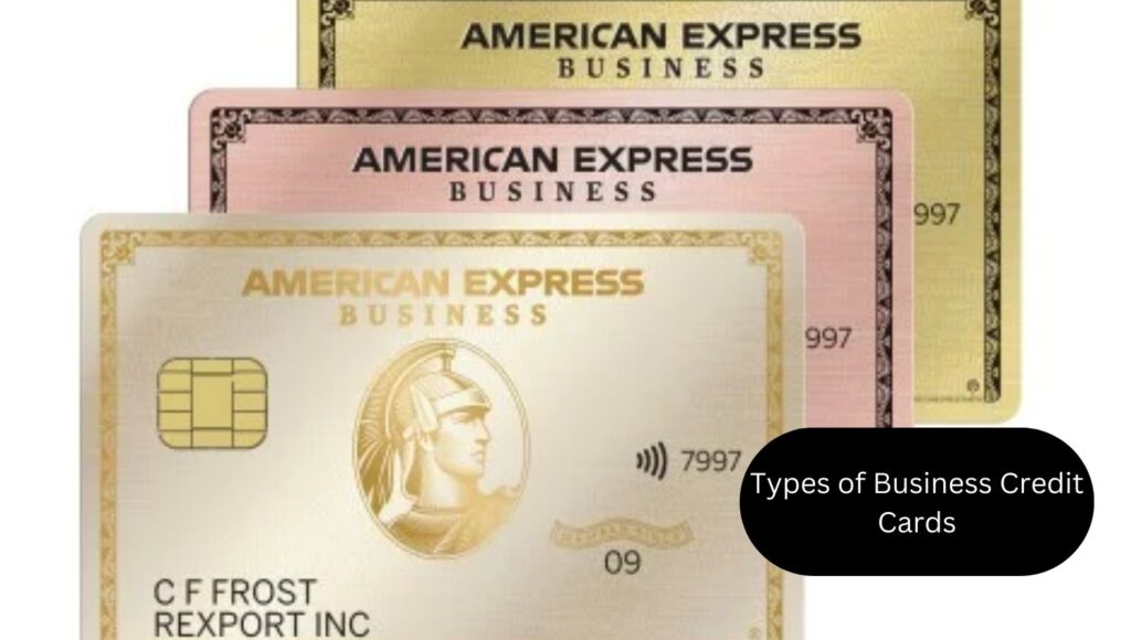 Guide to Choosing the Right Business Credit Card in the USA